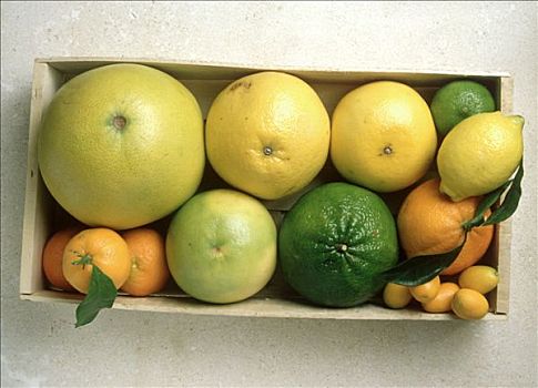 种类,柑橘,盒子
