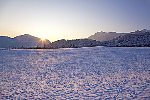 冬季风景,靠近,高山,巴伐利亚,德国