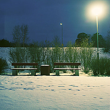两个,长椅,相互,雪,暗色,照亮,路灯
