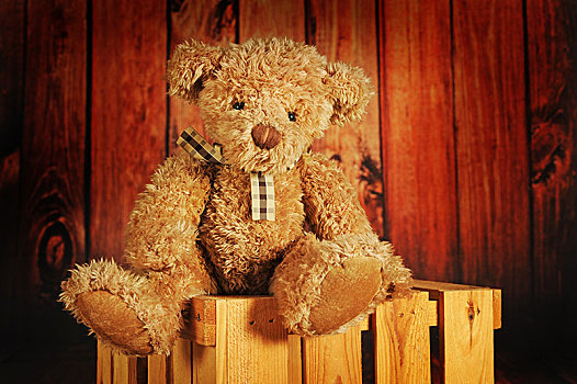 泰迪熊,褐色,花格布,蝴蝶结,木盒,奥地利,欧洲
