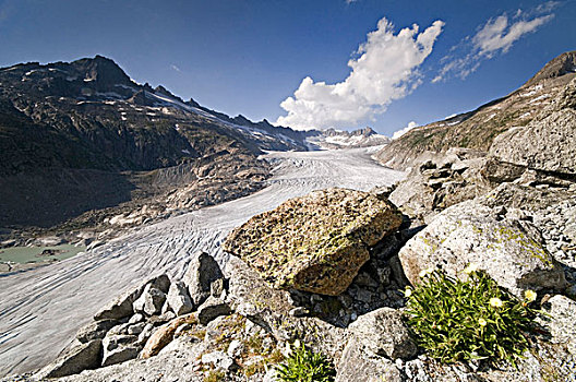 冰河,正面,山峦,富尔卡,瓦莱,瑞士,欧洲