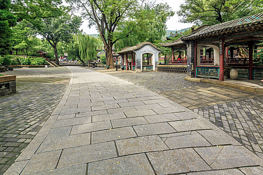 山西晋祠公园林荫路景观