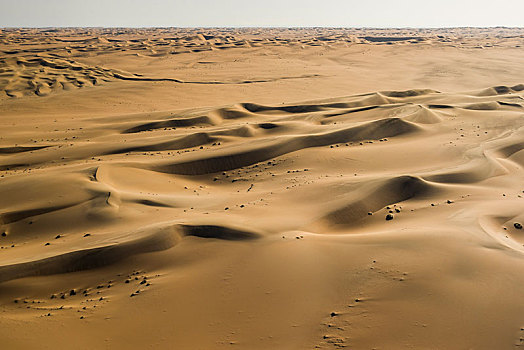 沙丘,纳米布沙漠,埃龙戈区,纳米比亚,非洲