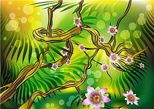 花,藤蔓植物