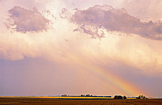 雨,风暴,彩虹,靠近,赤鹿,艾伯塔省,加拿大