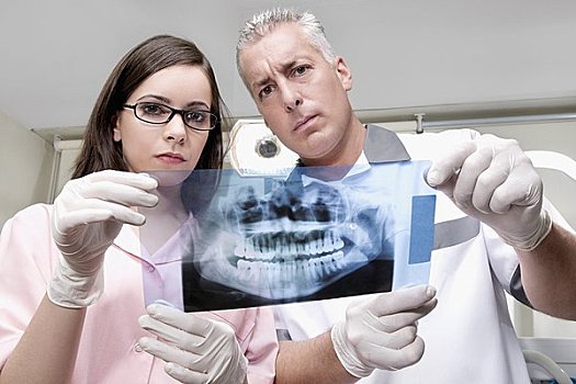 两个,牙医,检查,x光,报告