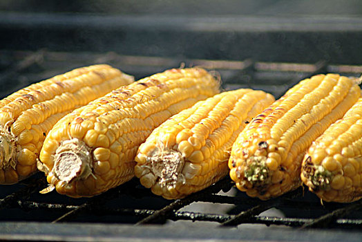 老玉米,山,嘉年华,八月,2007年