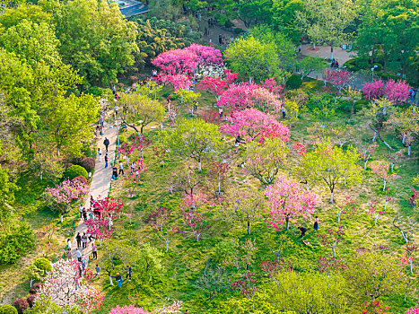 济南泉城公园春暖花开