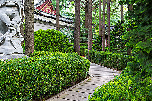 崂山风景