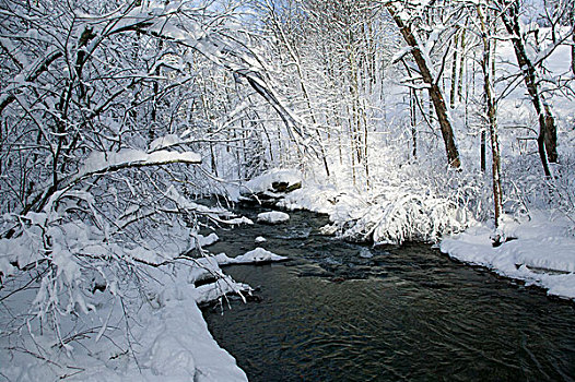美国,佛蒙特州,上方,河流,冬天