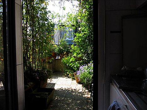 法国,巴黎,绿色,平台,玻璃门,厨房,攀缘植物