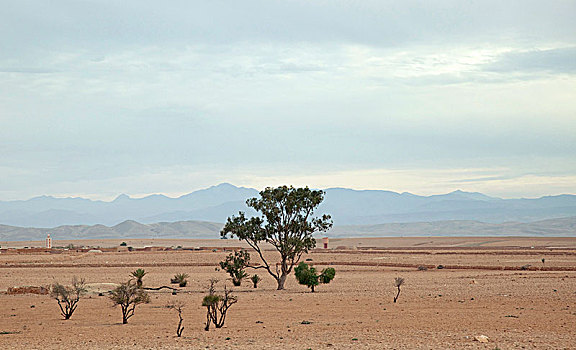 风景,荒芜,山,摩洛哥