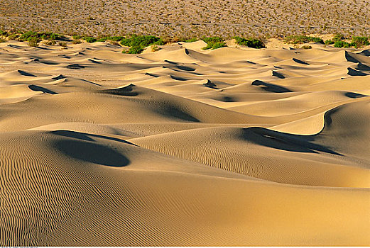 沙丘,死亡谷国家公园,内华达,美国