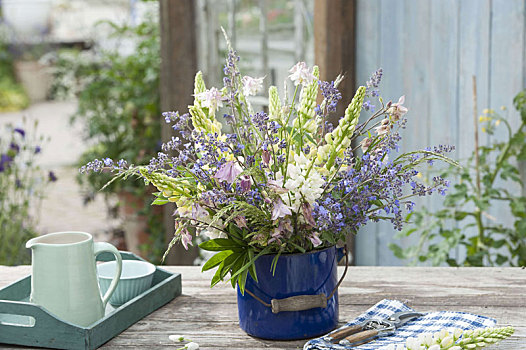 花束,初夏,多年生植物,蓝色,瓷釉,桶