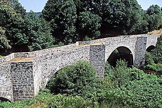 法国,朗格多克-鲁西永大区,圣埃蒂安,桥,12世纪