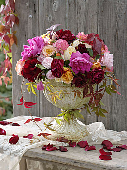 粉色,玫瑰,地锦属,桌子