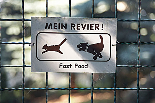 标识,警告,狗,迅速,食物,德国,象形图