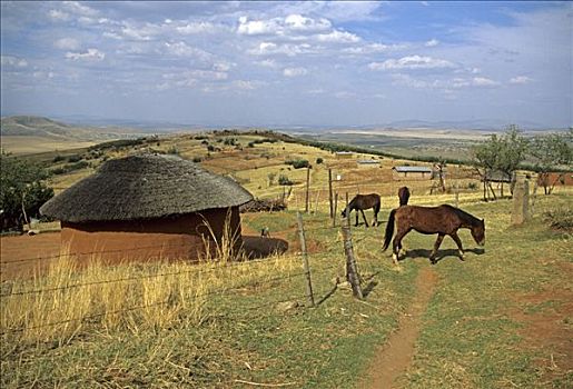 乡村,山峦,边界,东开普省,纳塔耳,南非