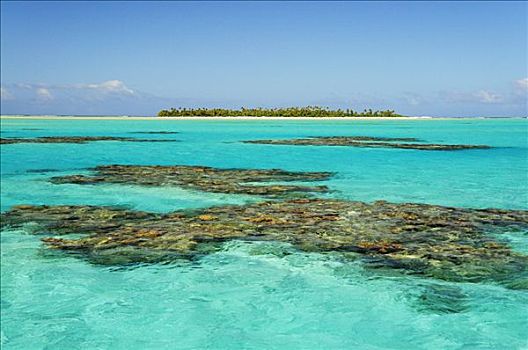 珊瑚,水中,艾图塔基泻湖,爱图塔基,库克群岛