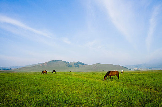 內蒙,壩上,烏蘭木統,烏蘭木統草原,紅山,軍馬場,草原,草地,
