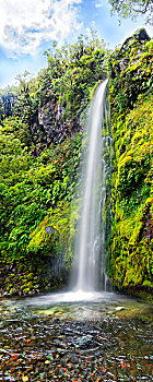 高,瀑布,中间,热带雨林,塔拉纳基,国家公园,北岛,新西兰,大洋洲