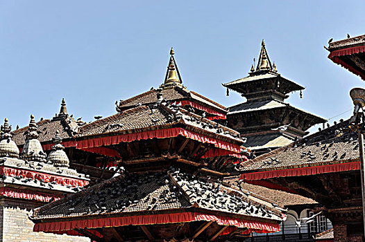 庙宇,塔,古老,帕坦,皇宫,杜巴广场,加德满都,加德满都山谷,尼泊尔,亚洲