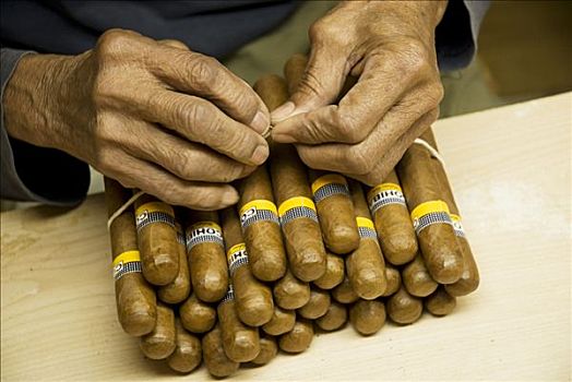 古巴,哈瓦那,分类,包装,手制,雪茄,雪茄工厂
