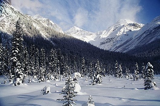 顶峰,班芙国家公园,艾伯塔省,加拿大