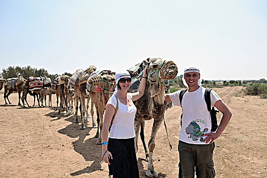 野生,骆驼,动物,旅游