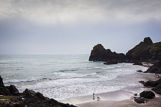 海岸,风景,海洋,岩石,悬崖,一个人,狗,站立,沙滩
