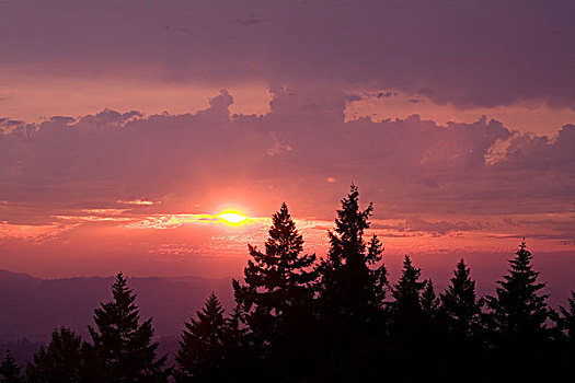 日落,上方,树,威拉梅特谷,俄勒冈,美国