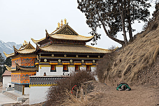 甘肃甘南地区,郎木寺,朝拜者,徐学哲摄影,尼康,年,月