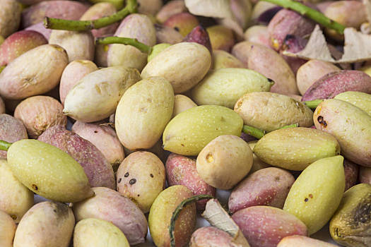 绿色,新鲜,开心果