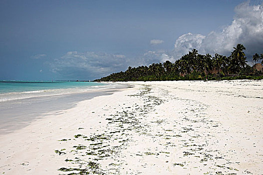 印度洋,桑给巴尔岛,坦桑尼亚,热带沙滩