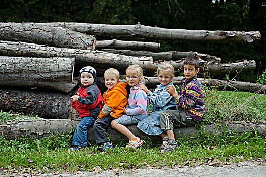 孩子,岁月,坐,排,树,树干,树林