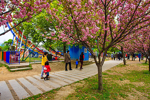 宁波,儿童公园,乐园,游戏,游乐,设施
