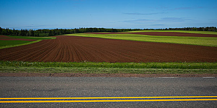 道路,耕地,爱德华王子岛,加拿大