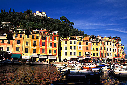 彩色,建筑,船,港口,波托菲诺,意大利