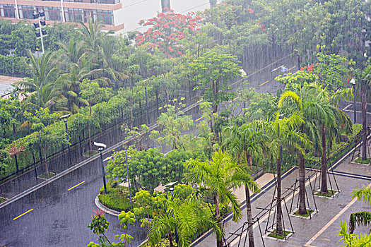 雨中即景