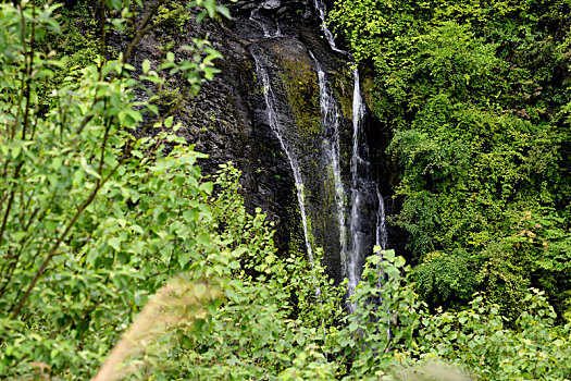 山村春来无限生机