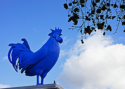 公鸡,雕塑,巨大,蓝色,小公鸡,德国,艺术家,特拉法尔加广场,威斯敏斯特,伦敦,英格兰