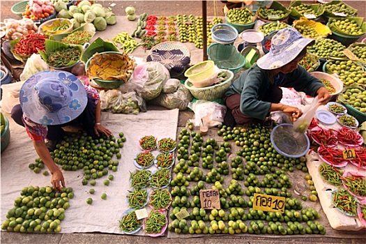 泰国,清莱,旅游