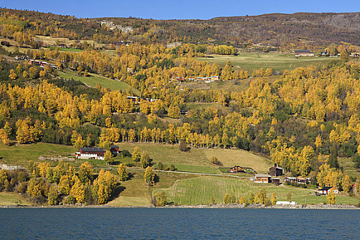 斯堪的纳维亚,挪威,风景