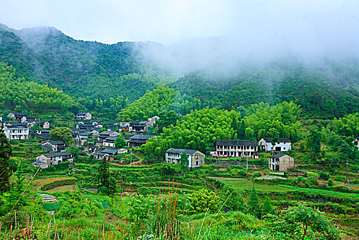 山,树林,雾气,云海,氤氲,绿色,树木,乡村