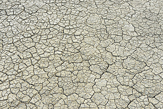 缝隙,干燥,地面,卡马格,罗讷河口省,法国