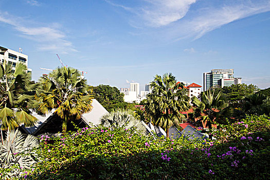 新加坡大学校园