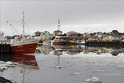 港口,冬天,渔船,冰岛,欧洲