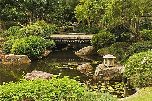 日式庭园,布里斯班,昆士兰,澳大利亚