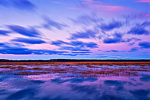 风,云,日出,上方,小,湿地,安大略省