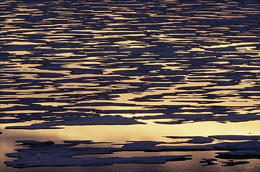 海冰,融化,夏天,加拿大